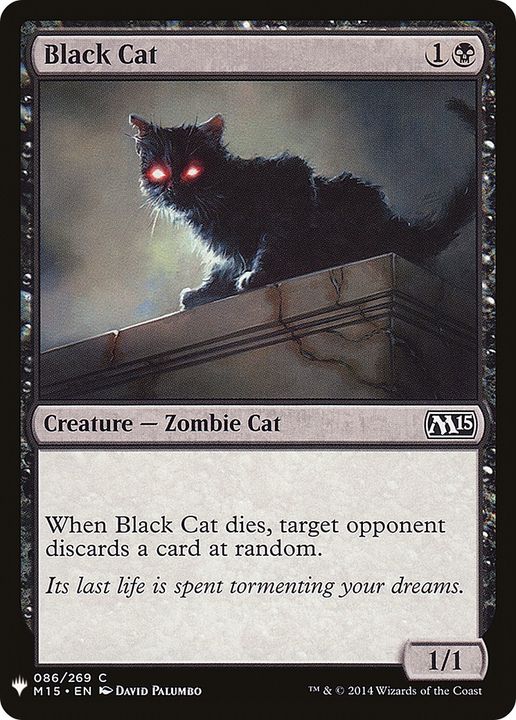 Black Cat in the group Magic the Gathering / Types / Creatures / Zombie at Proxyprinters.com (72697)