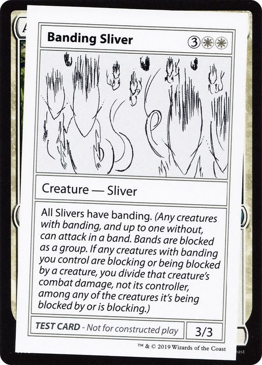 Banding Sliver in the group Magic the Gathering / Sets / Mystery Booster Playtest Cards 2021 at Proxyprinters.com (72904)