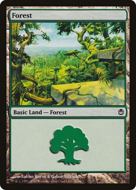 Forest in the group Magic the Gathering / Types / Land / Forest at Proxyprinters.com (73568)