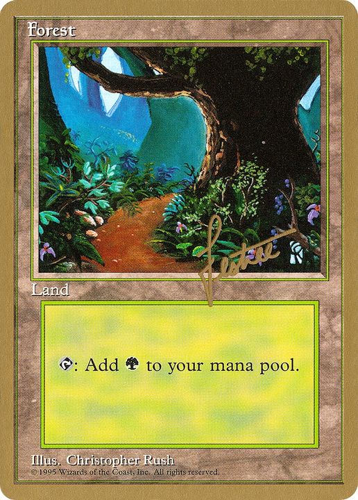 Forest in the group Magic the Gathering / Types / Land / Forest at Proxyprinters.com (73716)