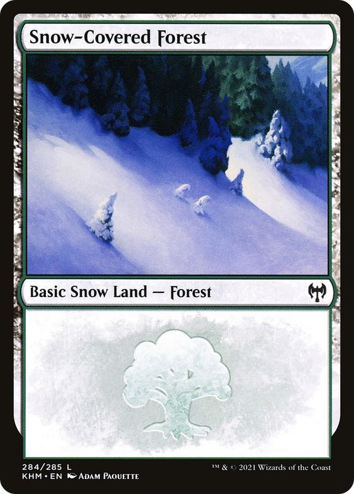 Snow-Covered Forest in the group Magic the Gathering / Types / Land / Forest at Proxyprinters.com (73897)