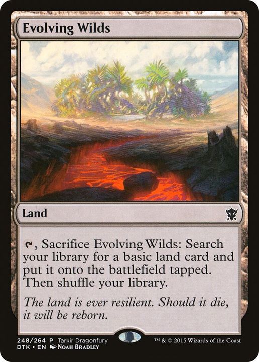 Evolving Wilds in the group Magic the Gathering / Types / Colors / Colorless at Proxyprinters.com (7440)