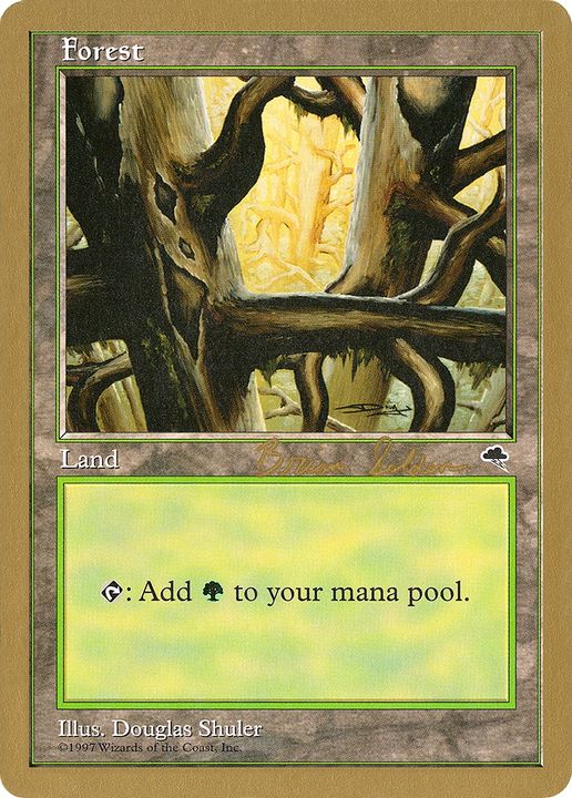 Forest in the group Magic the Gathering / Sets / World Championship Decks 1998 at Proxyprinters.com (74745)