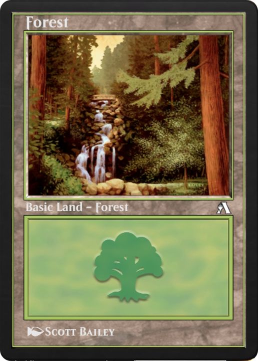 Forest in the group Magic the Gathering / Types / Land / Forest at Proxyprinters.com (74871)