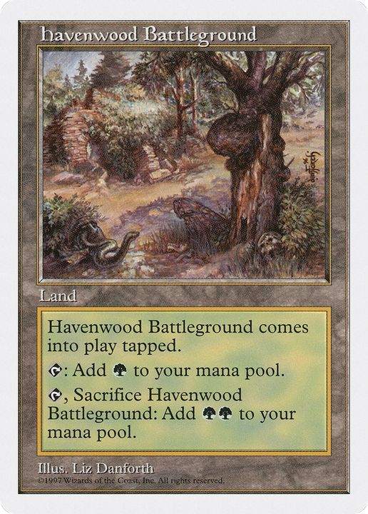 Havenwood Battleground in the group Advanced search at Proxyprinters.com (75430)