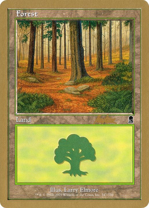 Forest in the group Magic the Gathering / Types / Land / Forest at Proxyprinters.com (76131)