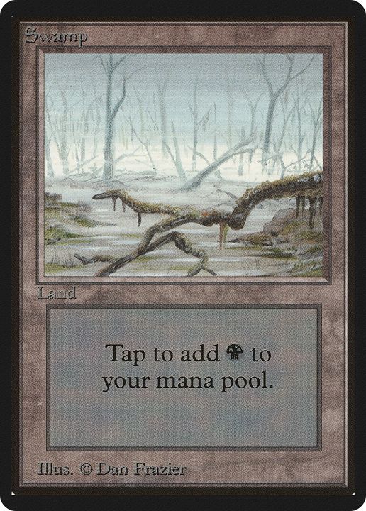 Swamp in the group Magic the Gathering / Sets / Limited Edition Beta at Proxyprinters.com (76591)