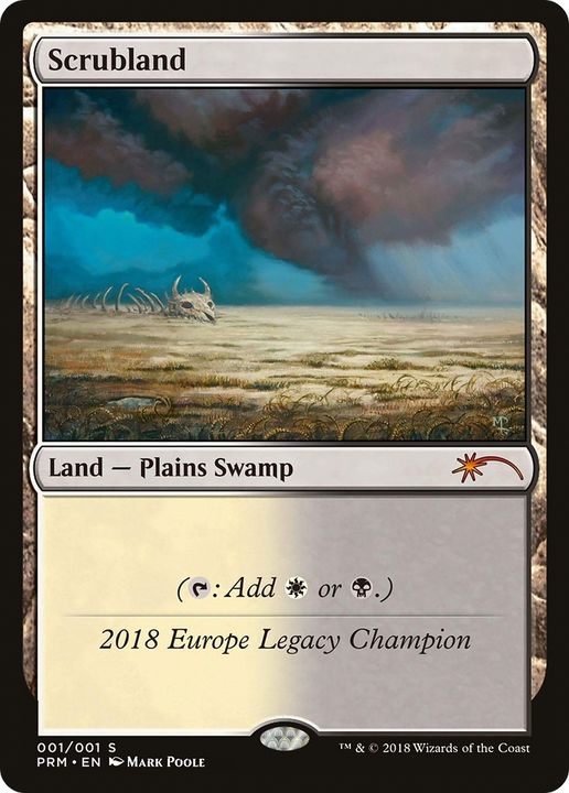 Scrubland in the group Magic the Gathering / Types / Land / Swamp at Proxyprinters.com (76627)