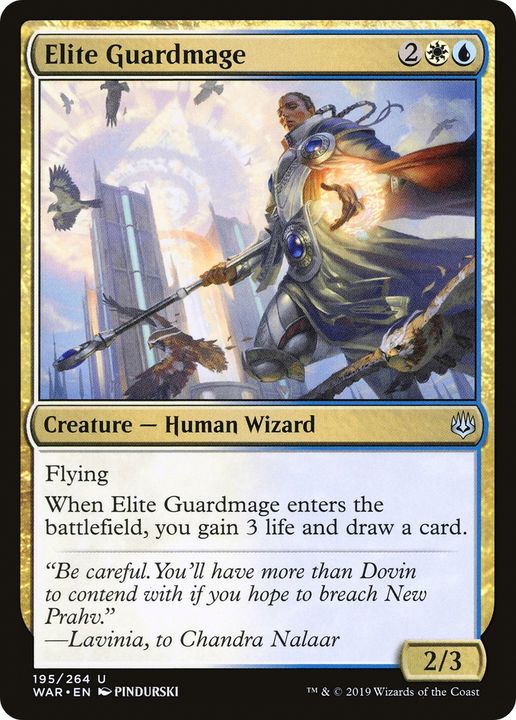 Elite Guardmage in the group Advanced search at Proxyprinters.com (77208)