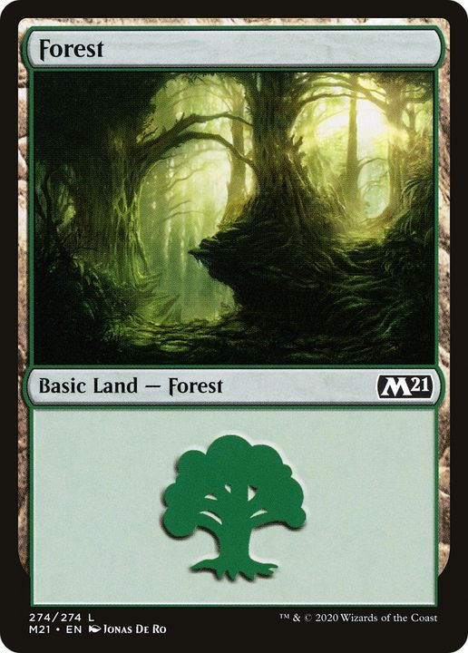 Forest in the group Magic the Gathering / Types / Land / Forest at Proxyprinters.com (77697)