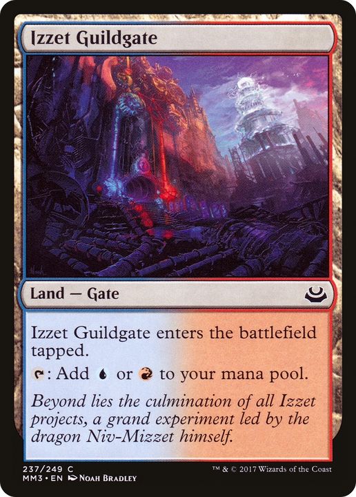 Izzet Guildgate in the group Magic the Gathering / Sets / Modern Masters Tokens at Proxyprinters.com (78131)