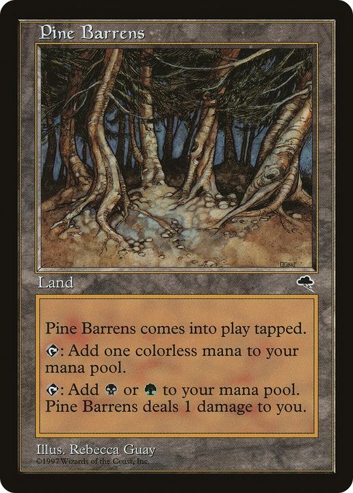 Pine Barrens in the group Magic the Gathering / Types / Colors / Colorless at Proxyprinters.com (78168)