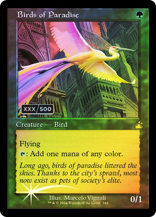 Birds of Paradise in the group Magic the Gathering / Sets / Ravnica: City of Guilds Promos at Proxyprinters.com (79100)