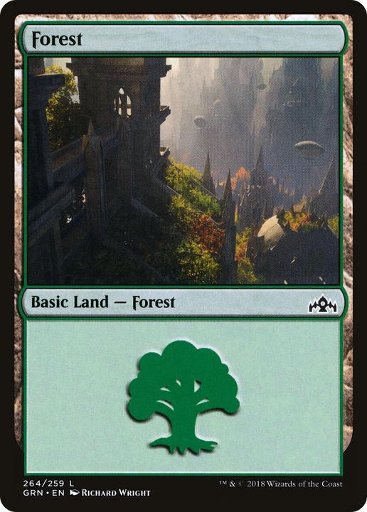 Forest in the group Magic the Gathering / Sets / Guilds of Ravnica at Proxyprinters.com (79187)