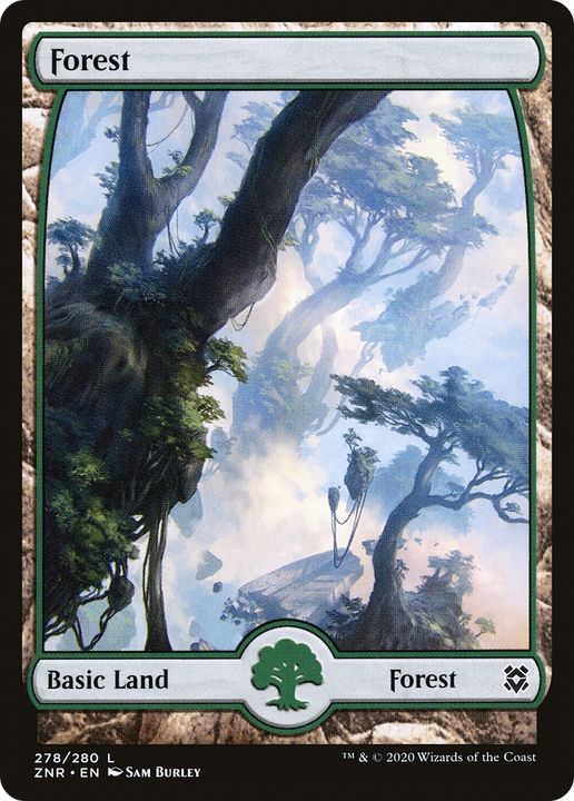 Forest in the group Magic the Gathering / Sets / Zendikar Rising at Proxyprinters.com (79530)