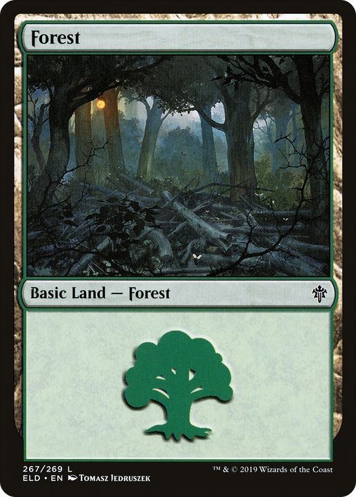 Forest in the group Magic the Gathering / Types / Land / Forest at Proxyprinters.com (80150)