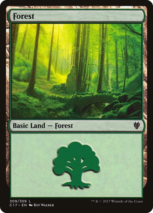 Forest in the group Magic the Gathering / Types / Land / Forest at Proxyprinters.com (80965)