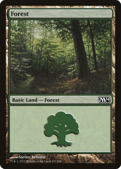 Forest in the group Magic the Gathering / Types / Land / Forest at Proxyprinters.com (81103)