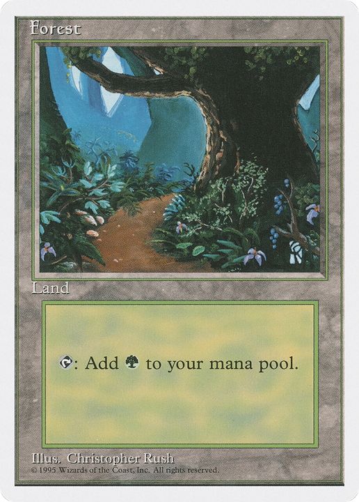 Forest in the group Magic the Gathering / Sets / Fourth Edition at Proxyprinters.com (81150)