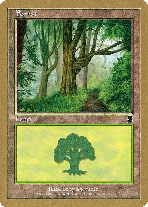 Forest in the group Magic the Gathering / Types / Land / Forest at Proxyprinters.com (81269)