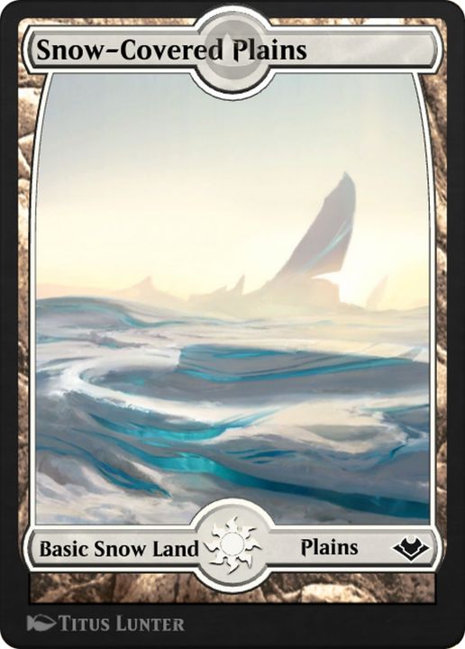 Snow-Covered Plains in the group Magic the Gathering / Sets / Magic 2010 Tokens at Proxyprinters.com (81514)