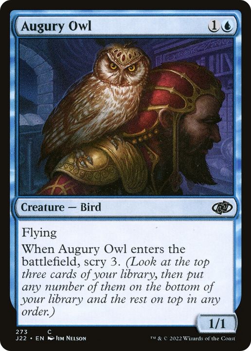 Augury Owl in the group Advanced search at Proxyprinters.com (82865)