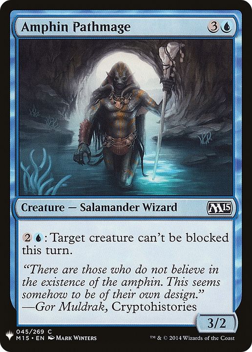 Amphin Pathmage in the group Magic the Gathering / Types / Creatures / Wizard at Proxyprinters.com (82977)