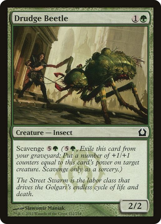 Drudge Beetle in the group Magic the Gathering / Types / Colors / Green at Proxyprinters.com (83616)