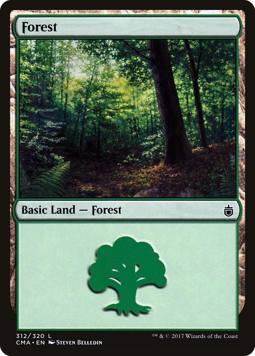 Forest in the group Magic the Gathering / Types / Land / Forest at Proxyprinters.com (84408)