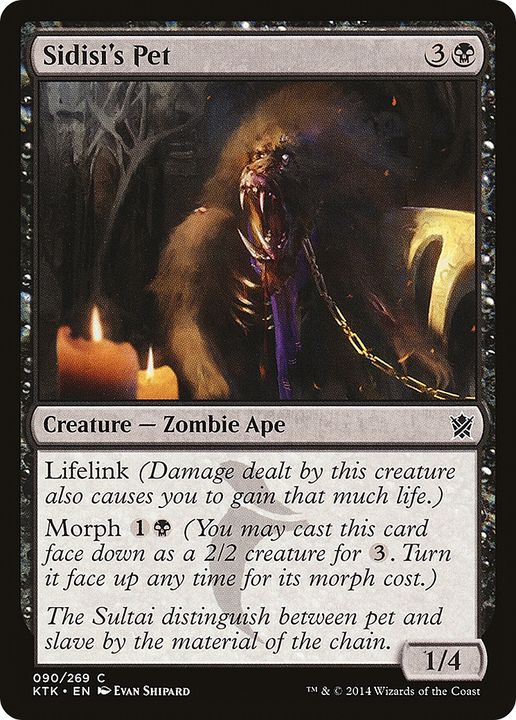 Sidisi's Pet in the group Magic the Gathering / Types / Colors / Black at Proxyprinters.com (84477)