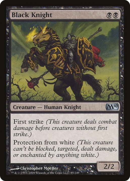 Black Knight in the group Singles at Proxyprinters.com (84540)