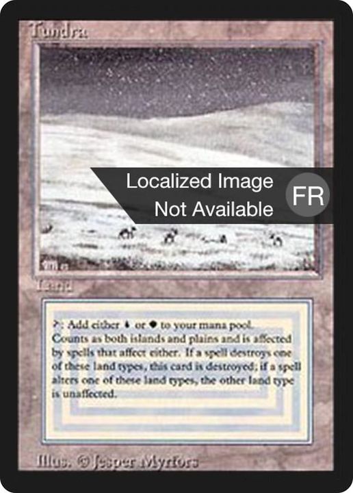 Tundra in the group Magic the Gathering / Types / Land / Island at Proxyprinters.com (8477)