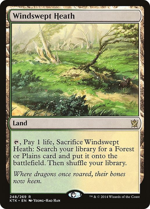 Windswept Heath in the group Magic the Gathering / Types / Colors / Colorless at Proxyprinters.com (84771)