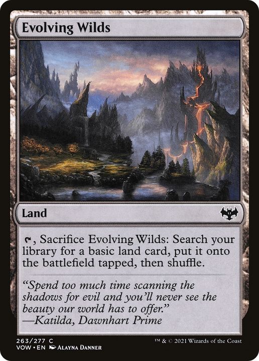 Evolving Wilds in the group Magic the Gathering / Types / Colors / Colorless at Proxyprinters.com (84880)