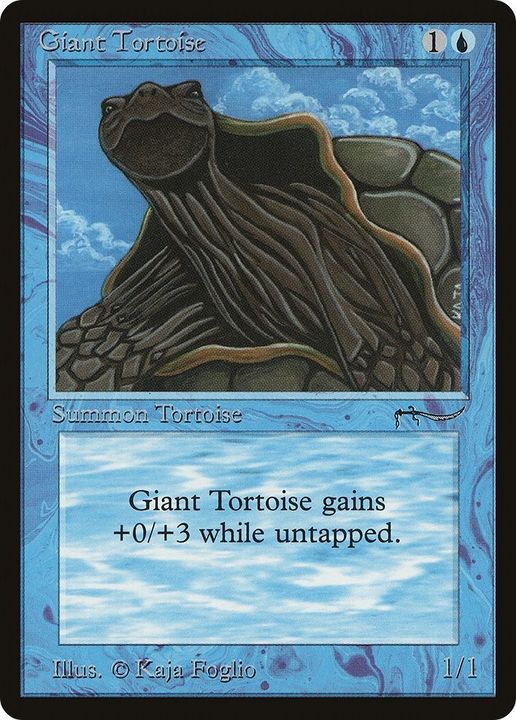 Giant Tortoise in the group Singles at Proxyprinters.com (8563)