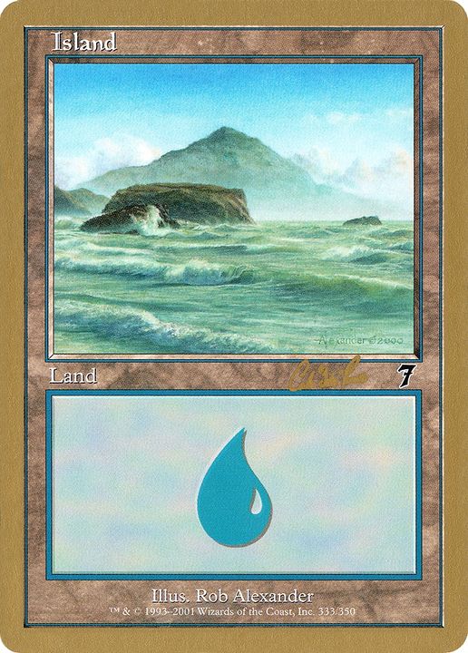 Island in the group Magic the Gathering / Sets / World Championship Decks 2002 at Proxyprinters.com (85644)