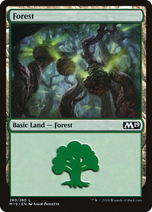 Forest in the group Magic the Gathering / Types / Land / Forest at Proxyprinters.com (85660)