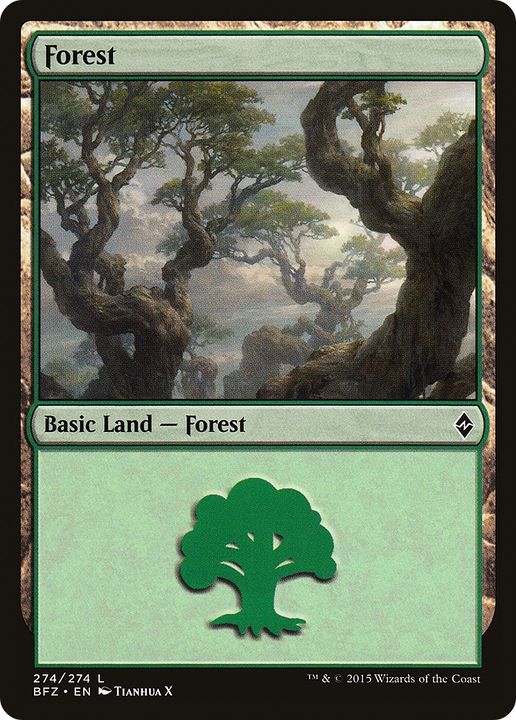 Forest in the group Magic the Gathering / Sets / Battle for Zendikar Tokens at Proxyprinters.com (85911)