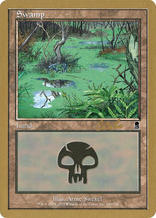 Swamp in the group Magic the Gathering / Types / Land / Swamp at Proxyprinters.com (86295)