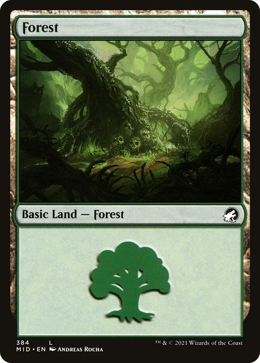 Forest in the group Magic the Gathering / Types / Land / Forest at Proxyprinters.com (86474)