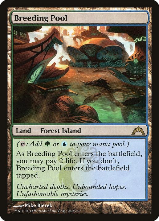 Breeding Pool in the group Magic the Gathering / Types / Land / Forest at Proxyprinters.com (86605)