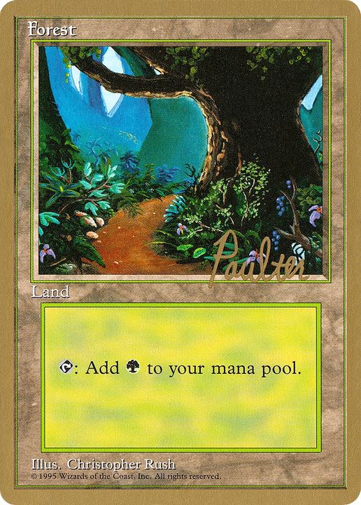 Forest in the group Magic the Gathering / Types / Land / Forest at Proxyprinters.com (86748)