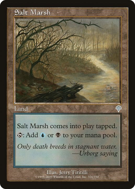 Salt Marsh in the group Magic the Gathering / Types / Colors / Colorless at Proxyprinters.com (86783)