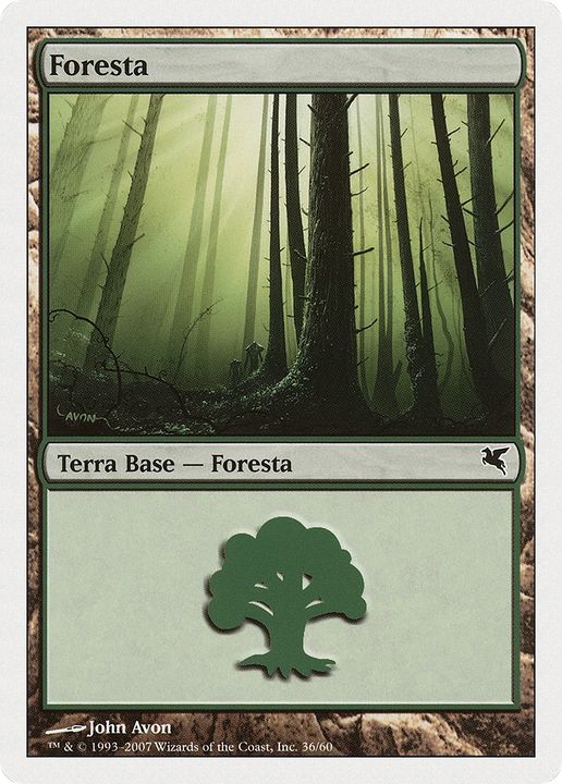 Forest in the group Magic the Gathering / Types / Land / Forest at Proxyprinters.com (86899)