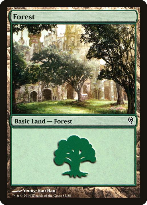 Forest in the group Magic the Gathering / Types / Land / Forest at Proxyprinters.com (87014)