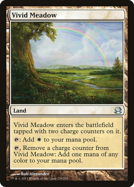 Vivid Meadow in the group Magic the Gathering / Types / Colors / Colorless at Proxyprinters.com (87026)