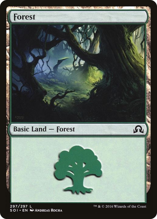 Forest in the group Magic the Gathering / Sets / Shadows over Innistrad at Proxyprinters.com (87047)