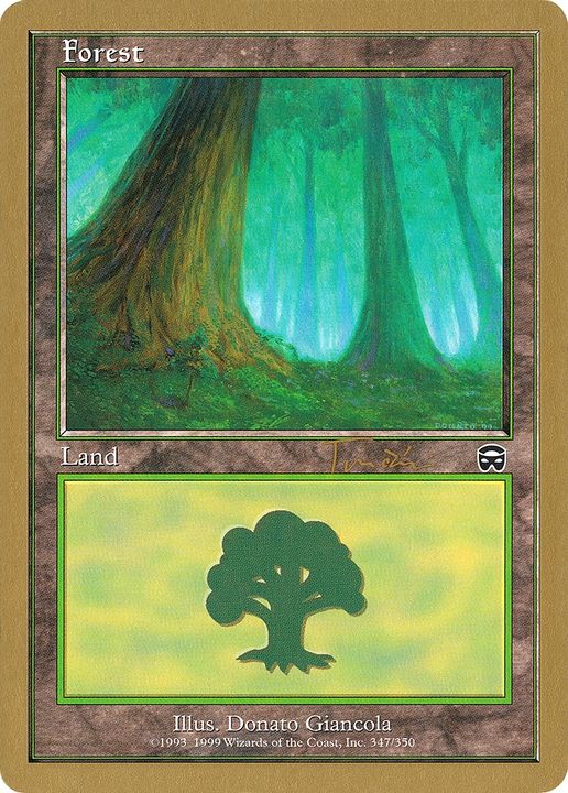 Forest in the group Magic the Gathering / Sets / World Championship Decks 2001 at Proxyprinters.com (87263)