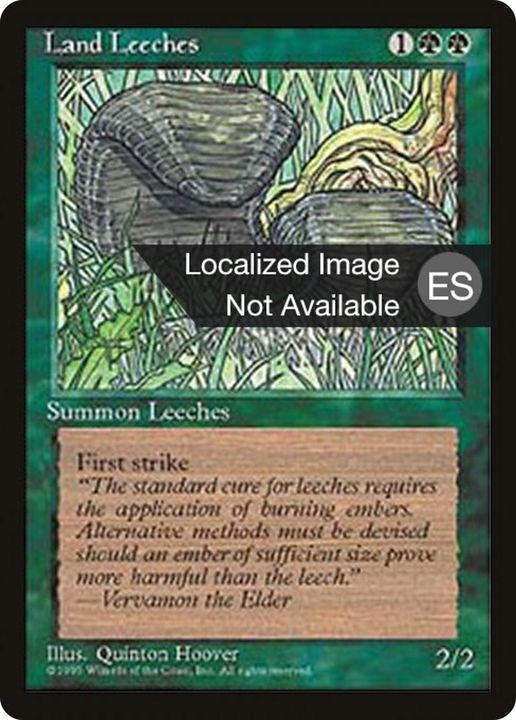 Land Leeches in the group Magic the Gathering / Sets / Fourth Edition Foreign Black Border at Proxyprinters.com (87576)