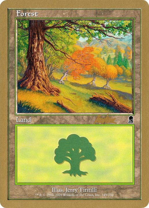 Forest in the group Magic the Gathering / Types / Land / Forest at Proxyprinters.com (87732)